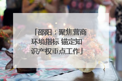 邵阳：聚焦营商环境指标 锚定知识产权重点工作