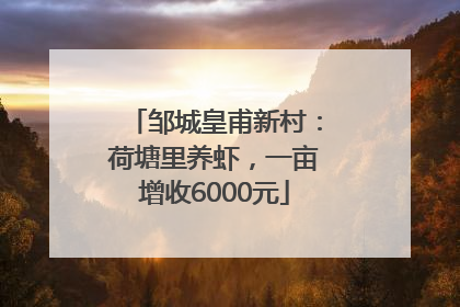 邹城皇甫新村：荷塘里养虾，一亩增收6000元