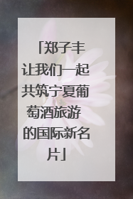 郑子丰 让我们一起共筑宁夏葡萄酒旅游 的国际新名片