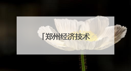 郑州经济技术开发区肖庄小学“面上生花小小非遗馆”揭幕