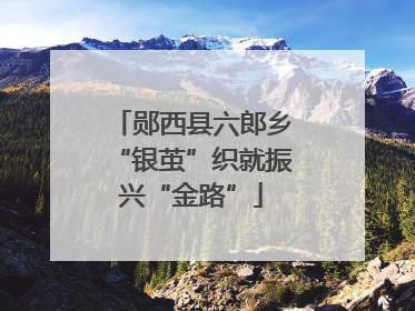郧西县六郎乡“银茧”织就振兴“金路”