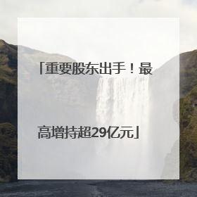 重要股东出手！最高增持超29亿元