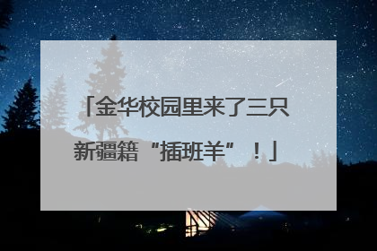 金华校园里来了三只新疆籍“插班羊”！
