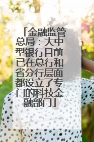 金融监管总局：大中型银行目前已在总行和省分行层面都设立了专门的科技金融部门