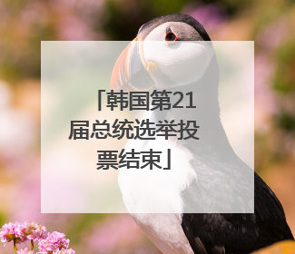 韩国第21届总统选举投票结束