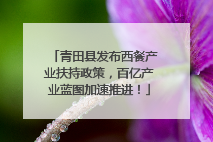 青田县发布西餐产业扶持政策，百亿产业蓝图加速推进！