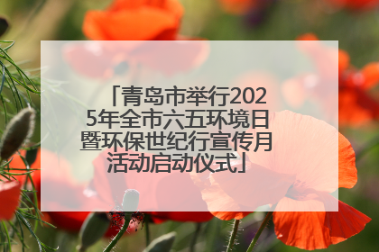 青岛市举行2025年全市六五环境日暨环保世纪行宣传月活动启动仪式