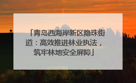 青岛西海岸新区隐珠街道：高效推进林业执法，筑牢林地安全屏障