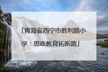 青海省西宁市胜利路小学：思政教育拓新路