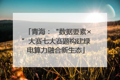 青海：“数据要素×”大赛七大赛题构建绿电算力融合新生态