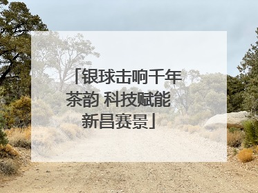 银球击响千年茶韵 科技赋能新昌赛景