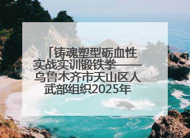铸魂塑型砺血性 实战实训锻铁拳——乌鲁木齐市天山区人武部组织2025年度民兵集中轮训