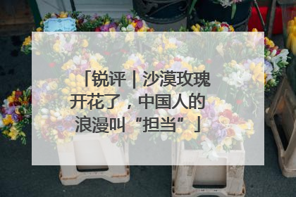 锐评｜沙漠玫瑰开花了，中国人的浪漫叫“担当”