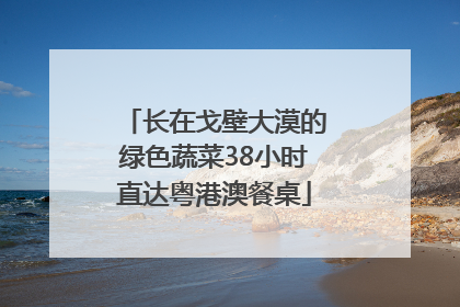 长在戈壁大漠的绿色蔬菜38小时直达粤港澳餐桌
