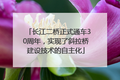 长江二桥正式通车30周年，实现了斜拉桥建设技术的自主化