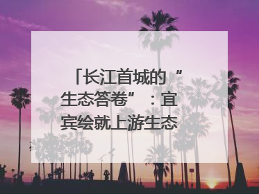 长江首城的“生态答卷”：宜宾绘就上游生态屏障新图景｜中华环保世纪行