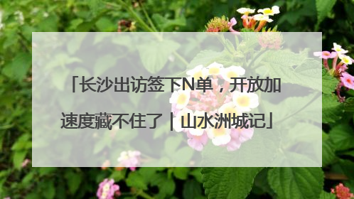 长沙出访签下N单，开放加速度藏不住了｜山水洲城记