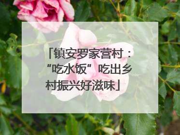镇安罗家营村：“吃水饭”吃出乡村振兴好滋味