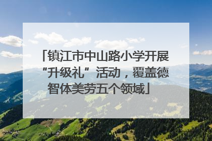 镇江市中山路小学开展“升级礼”活动，覆盖德智体美劳五个领域