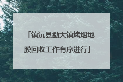 镇沅县勐大镇烤烟地膜回收工作有序进行