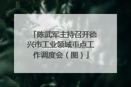 陈武军主持召开德兴市工业领域重点工作调度会（图）