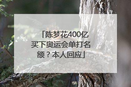 陈梦花400亿买下奥运会单打名额？本人回应