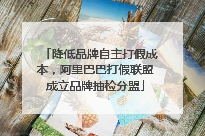 降低品牌自主打假成本，阿里巴巴打假联盟成立品牌抽检分盟