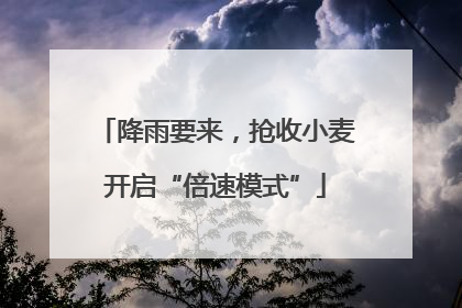 降雨要来，抢收小麦开启“倍速模式”