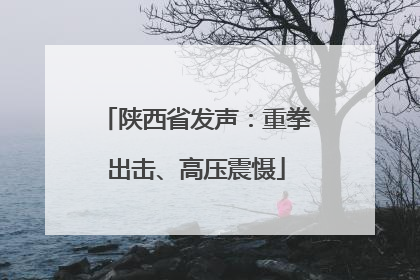陕西省发声：重拳出击、高压震慑