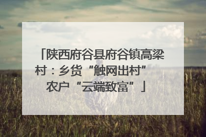 陕西府谷县府谷镇高梁村：乡货“触网出村” 农户“云端致富”