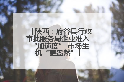 陕西：府谷县行政审批服务局企业准入“加速度” 市场生机“更盎然”