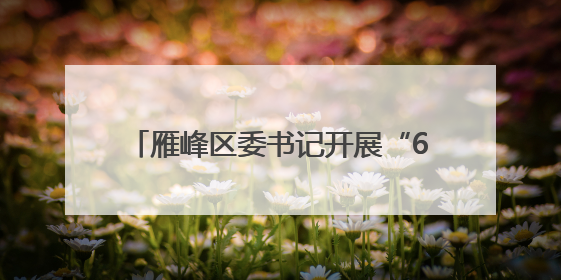雁峰区委书记开展“6·25为民服务日” 暨为民办实事专题调研