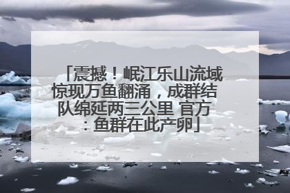 震撼！岷江乐山流域惊现万鱼翻涌，成群结队绵延两三公里 官方：鱼群在此产卵