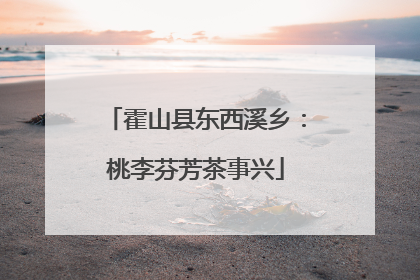 霍山县东西溪乡：桃李芬芳茶事兴