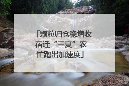 颗粒归仓稳增收 宿迁“三夏”农忙跑出加速度