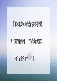 风起倩影摇！荆州“荷您有约”