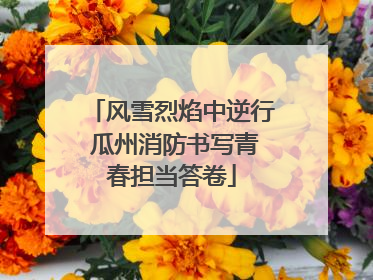 风雪烈焰中逆行 瓜州消防书写青春担当答卷