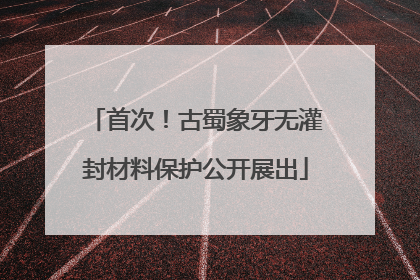 首次！古蜀象牙无灌封材料保护公开展出