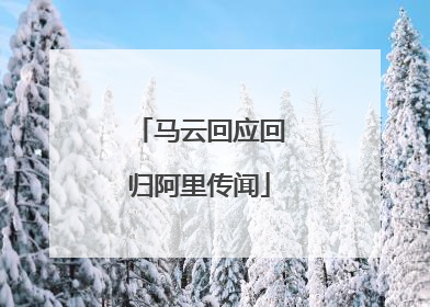 马云回应回归阿里传闻