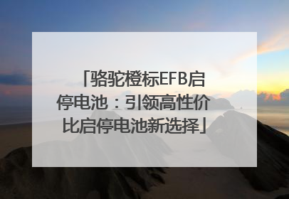 骆驼橙标EFB启停电池：引领高性价比启停电池新选择