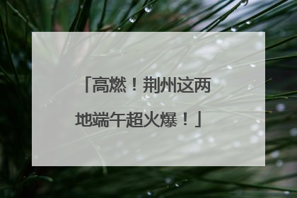 高燃！荆州这两地端午超火爆！