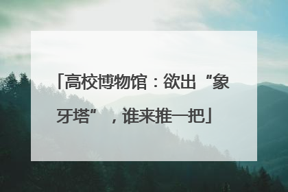 高校博物馆：欲出“象牙塔”，谁来推一把