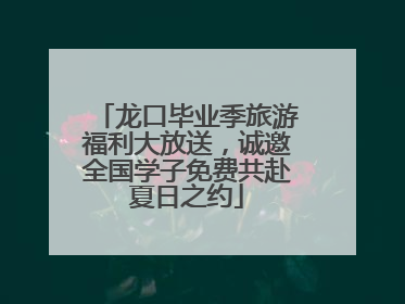 龙口毕业季旅游福利大放送，诚邀全国学子免费共赴夏日之约