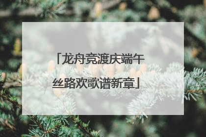 龙舟竞渡庆端午 丝路欢歌谱新章
