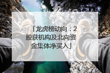 龙虎榜动向：2股获机构及北向资金集体净买入