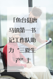 鱼台县唐马镇第一书记工作队助力“三夏生产”
