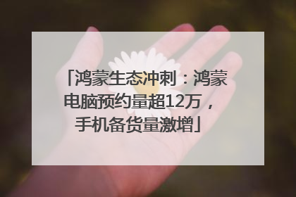 鸿蒙生态冲刺：鸿蒙电脑预约量超12万，手机备货量激增