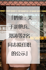 鹤壁：关于胡艳兵、郑涛等2名同志拟任职的公示