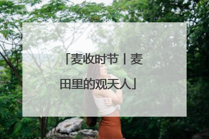 麦收时节丨麦田里的观天人