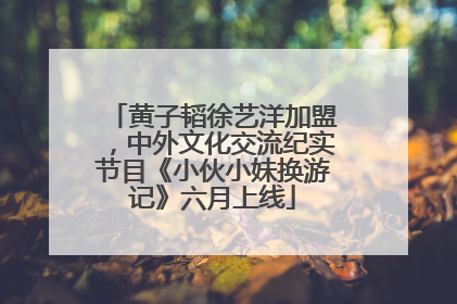 黄子韬徐艺洋加盟，中外文化交流纪实节目《小伙小妹换游记》六月上线